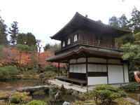 紅葉の銀閣寺