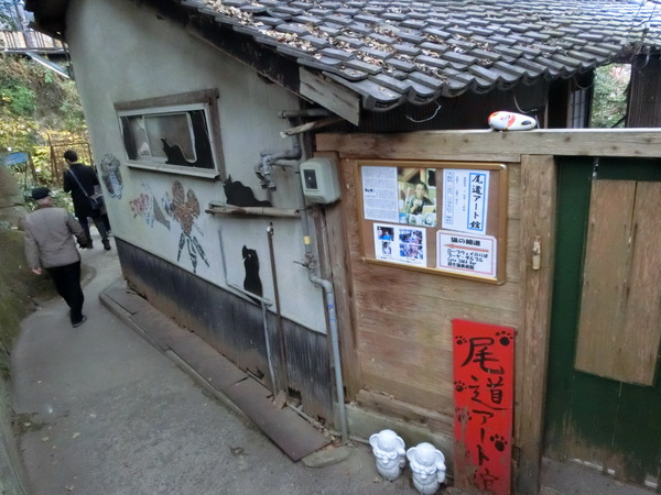 プリティな猫の細道