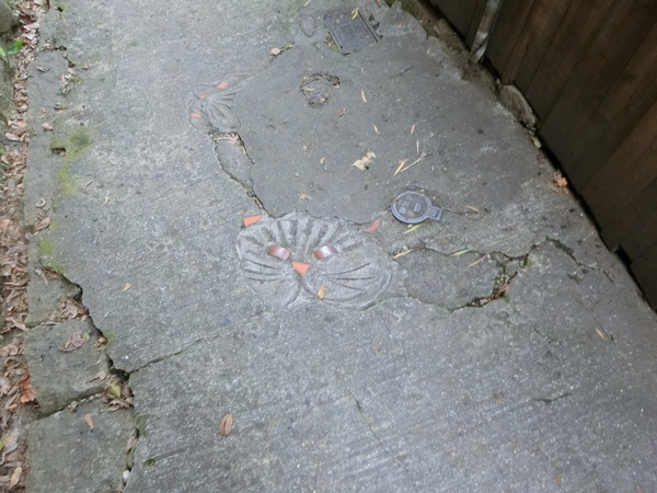 プリティな猫の細道