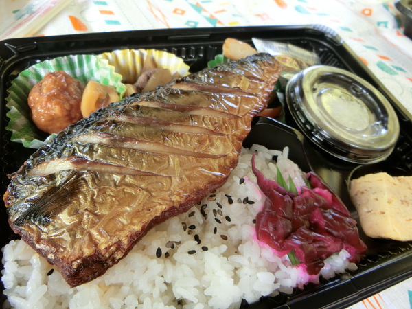 シードラ弁当を持って♪