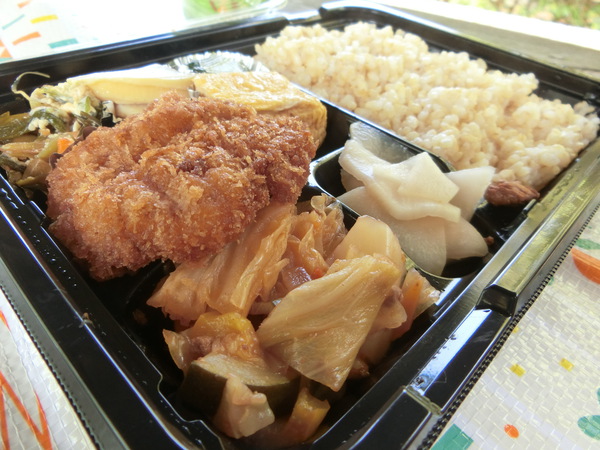 シードラ弁当を持って♪
