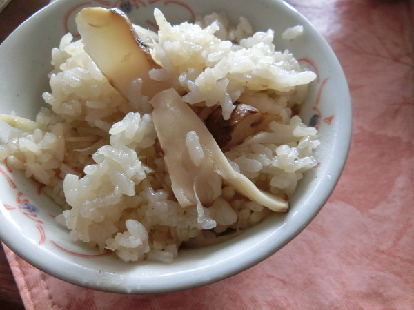 お土産付きに目がくらんでツアーに参加