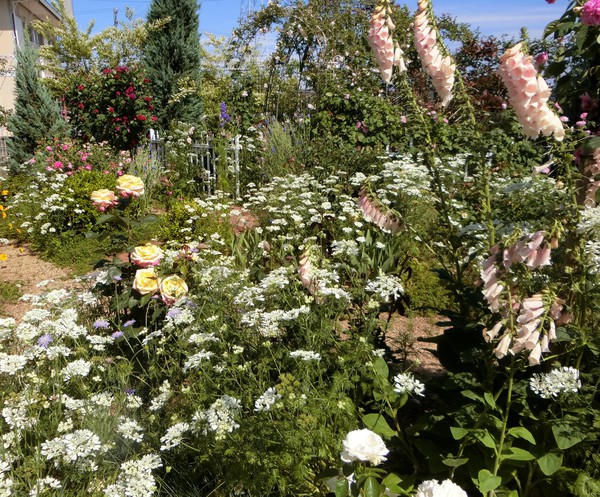 薔薇の花園におじゃましました。
