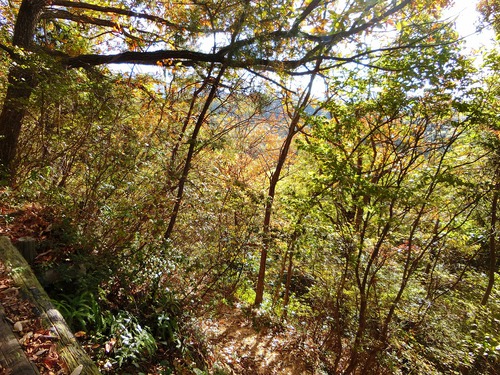 自粛生活で晩秋の二子山に登る。