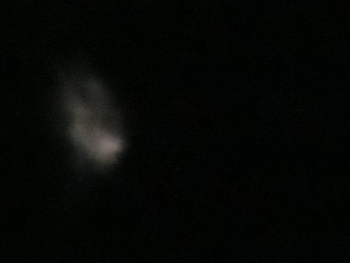 ・・・そして、昨夜の続き