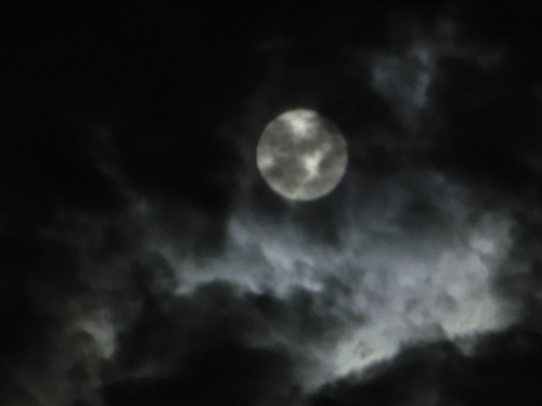・・・そして、昨夜の続き
