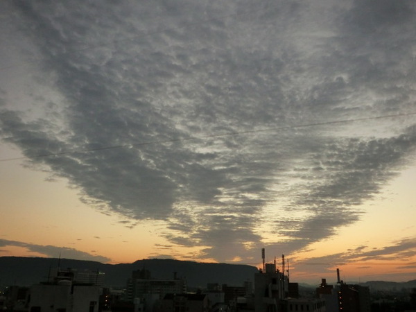 空からのプレゼント