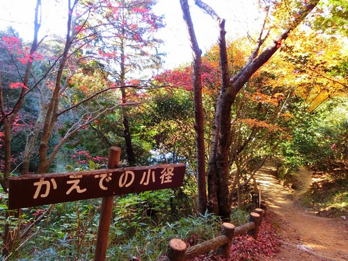 ぶらり散歩の先にあった晩秋