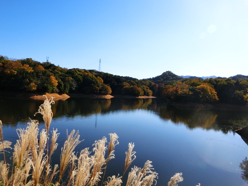 ぶらり散歩の先にあった晩秋