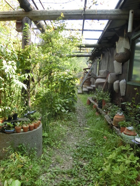 自然の中のカフェ「野良里」