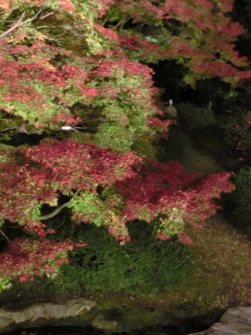 幻想的なライトアップの栗林公園