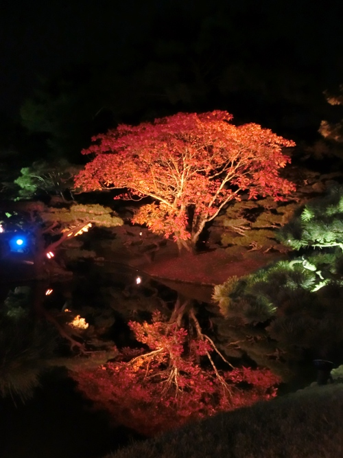幻想的なライトアップの栗林公園