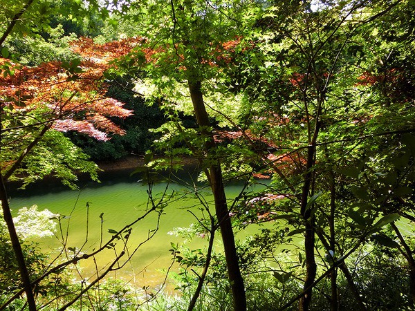 まるっきり二人だけの遊歩道