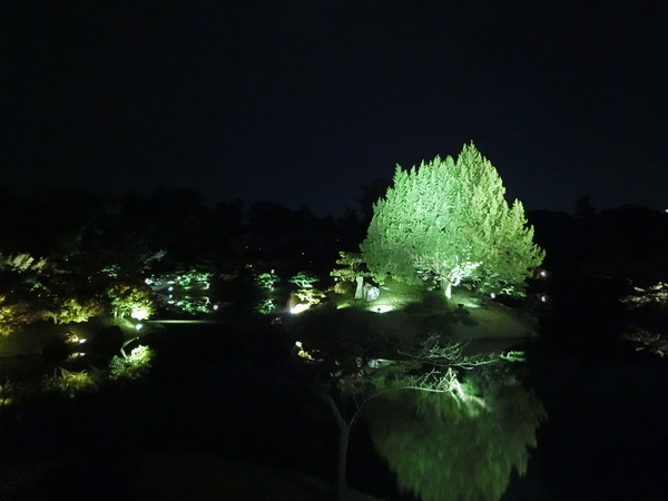 幻想的なライトアップの栗林公園