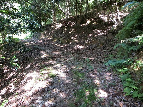 まるっきり二人だけの遊歩道