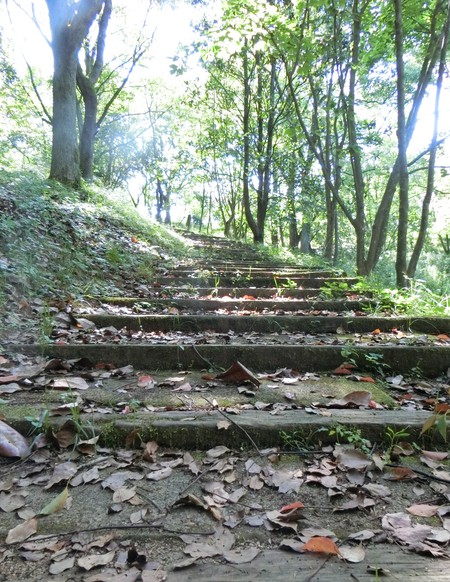 まるっきり二人だけの遊歩道