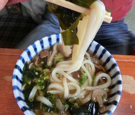 今日はありつけた讃州めんめの『きのこうどん』