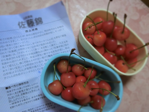 友人からのサクランボを食べながら・・・