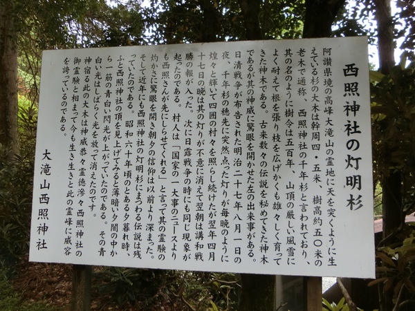 怖い！怖い！！もうこんな思いはしたくない。