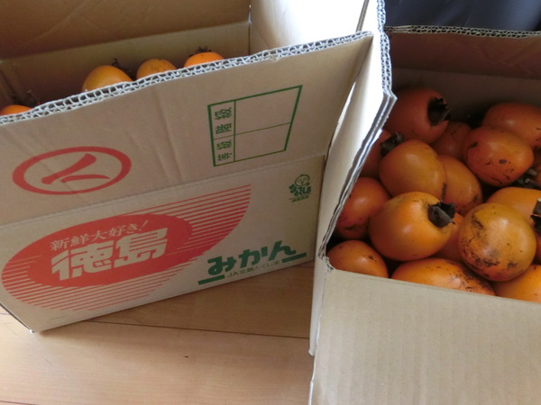 もむ人と食べる人