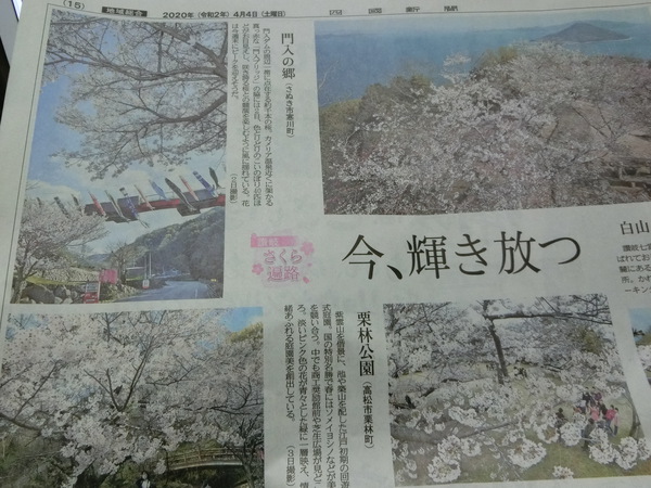 紙上の花見を楽しむ。