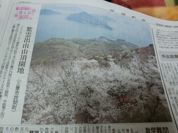 紙上の花見を楽しむ。