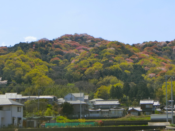 今日の田舎暮らしは、最高