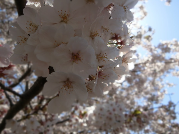 今日の田舎暮らしは、最高