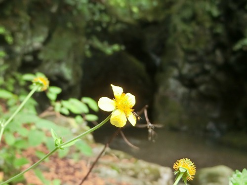 こんな渓谷の穴場があった～