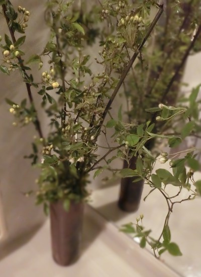 ワタシの生活には欠かせない✿