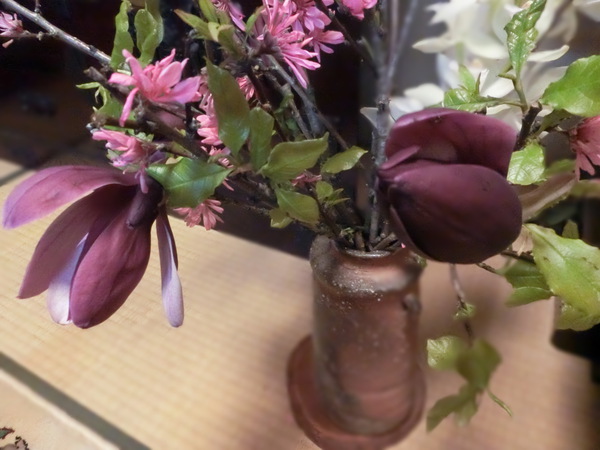 ワタシの生活には欠かせない✿