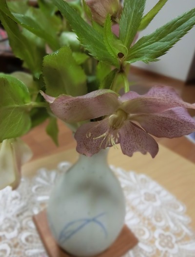 ワタシの生活には欠かせない✿