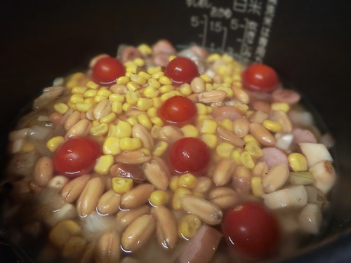 おれんじさんのやみつきご飯に挑戦してみた。