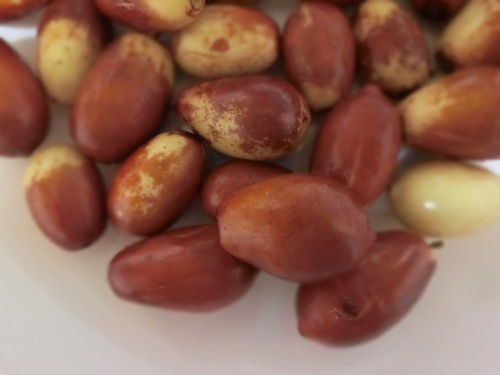 懐かしきは、リンゴのようなお味のナツメ