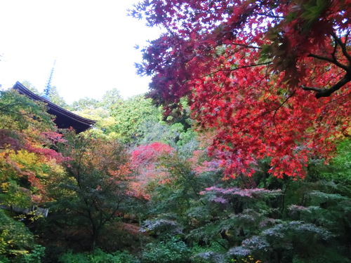 湖東三山　お地蔵さんの金剛輪寺