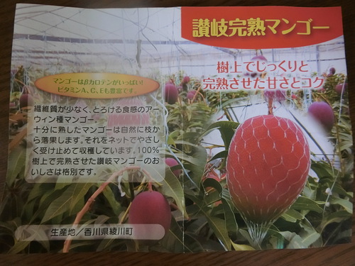 香川産のマンゴーを食べる。