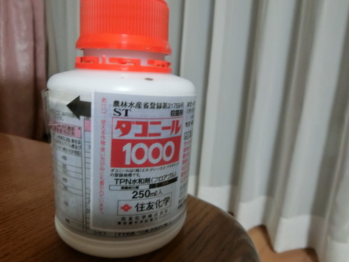 やさしいお兄さんにほだされて