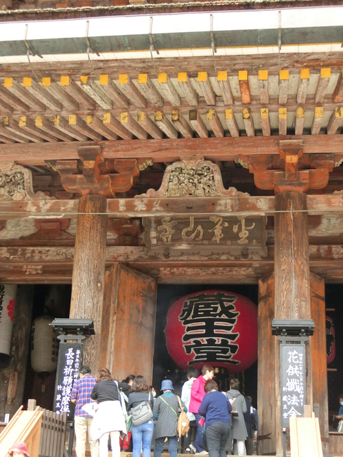 さすが吉野山の桜は最高！