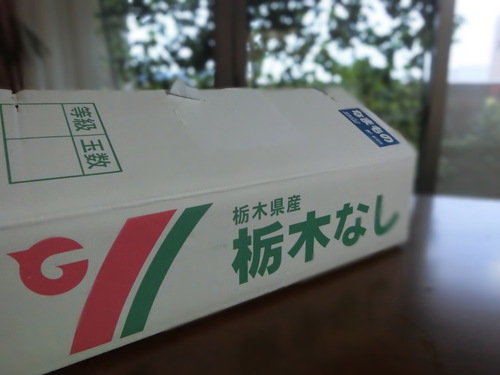 美容やダイエットに効果のある果物