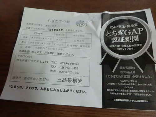 美容やダイエットに効果のある果物