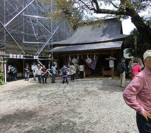 さすが吉野山の桜は最高！