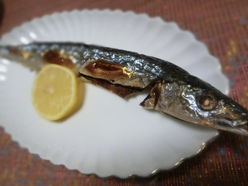 今日はハズレの日だった。