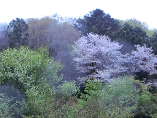 露天風呂は最高な気分