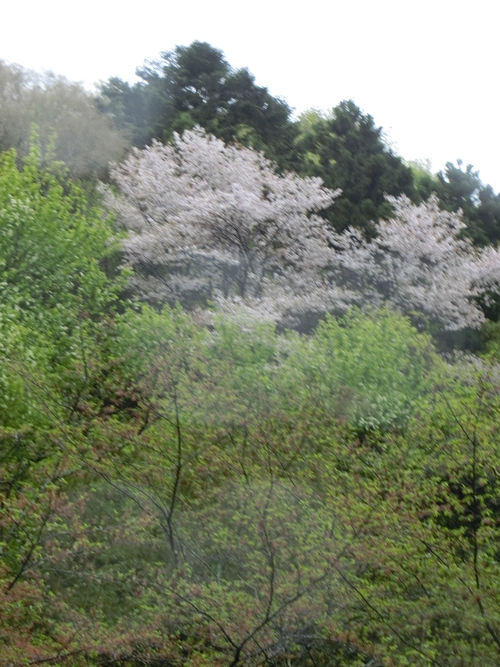 露天風呂は最高な気分