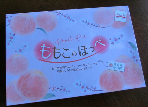 やっと行くことが出来た孫っちの修学旅行