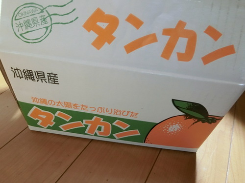 見た目が悪いけど中身はそうでもない