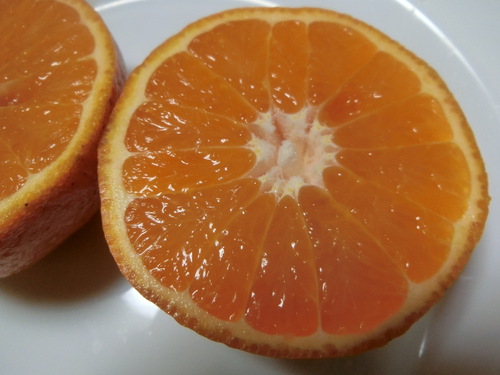 見た目が悪いけど中身はそうでもない