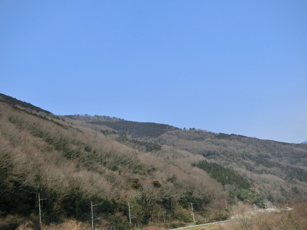 おばさんたちは、どこへ行く