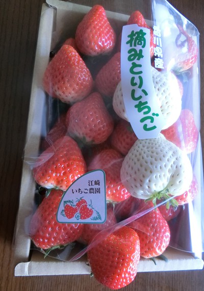 江崎さんっちの朝採れいちご