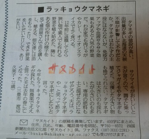 四国新聞「サヌカイト」欄のファン